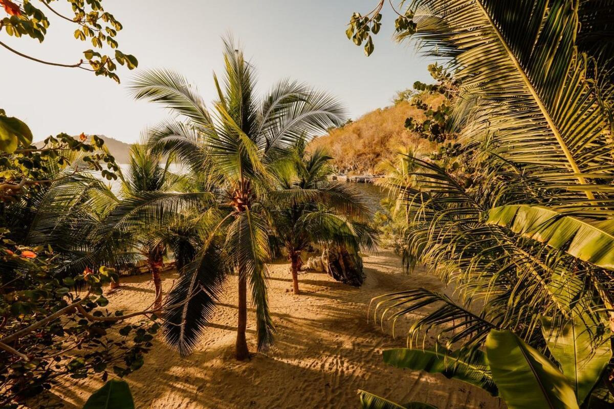 Dream Villa With Private Beach And Catering Сиуатанехо Экстерьер фото